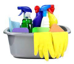 Cleaning Services